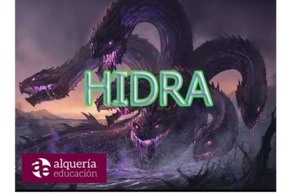 Hidra ссылка